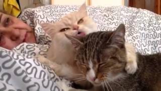 2 lesbian girl Chinese massage