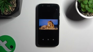 How to Find Downloaded Files on MOTOROLA Moto G