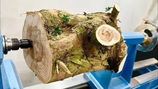 Download Lagu Woodturning- Albino YEW Wood Looks Incredible!! MP3 Download Lagu Woodturning- Albino YEW Wood Looks Incredible!! MP3