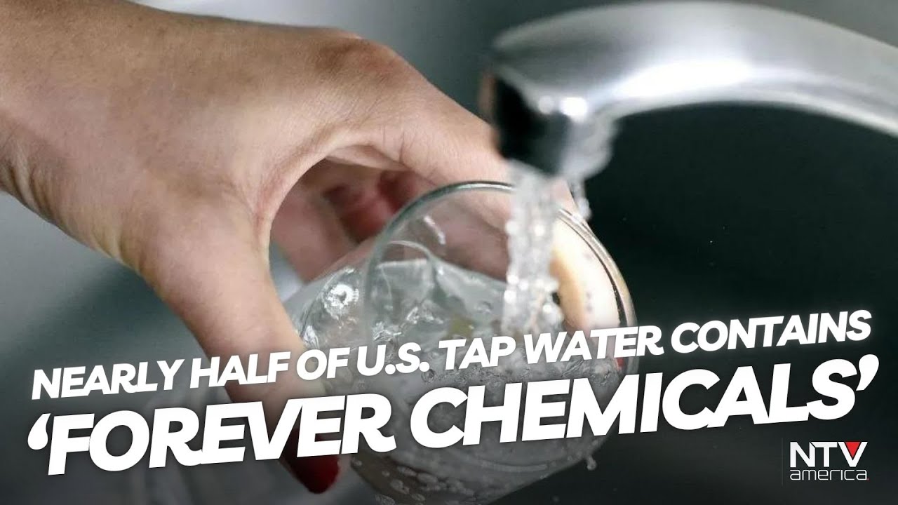 Nearly Half of U.S. Tap Water Contains ‘Forever Chemicals YouTube