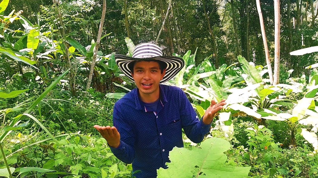 💥FINCA DE 6 FANEGADAS EN CUMACA CUNDINAMARCA💥