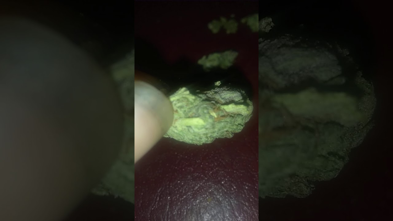 Indoor Sour Space Candy Hemp Flower