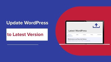 How to Update WordPress to the Latest Version? And Why It’s Important?