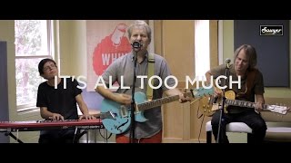 Chris Stamey - &quot;It&#39;s All Too Much&quot; (Beatles Cover)