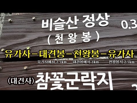 비슬산 참꽃군락지 <strong>대견사</strong> 천왕봉1,084m 가톨릭군위묘원 강정보 디아크