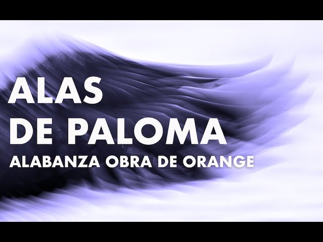 Alas de Paloma (featuring Alex Zamora & ODO Worship) class=