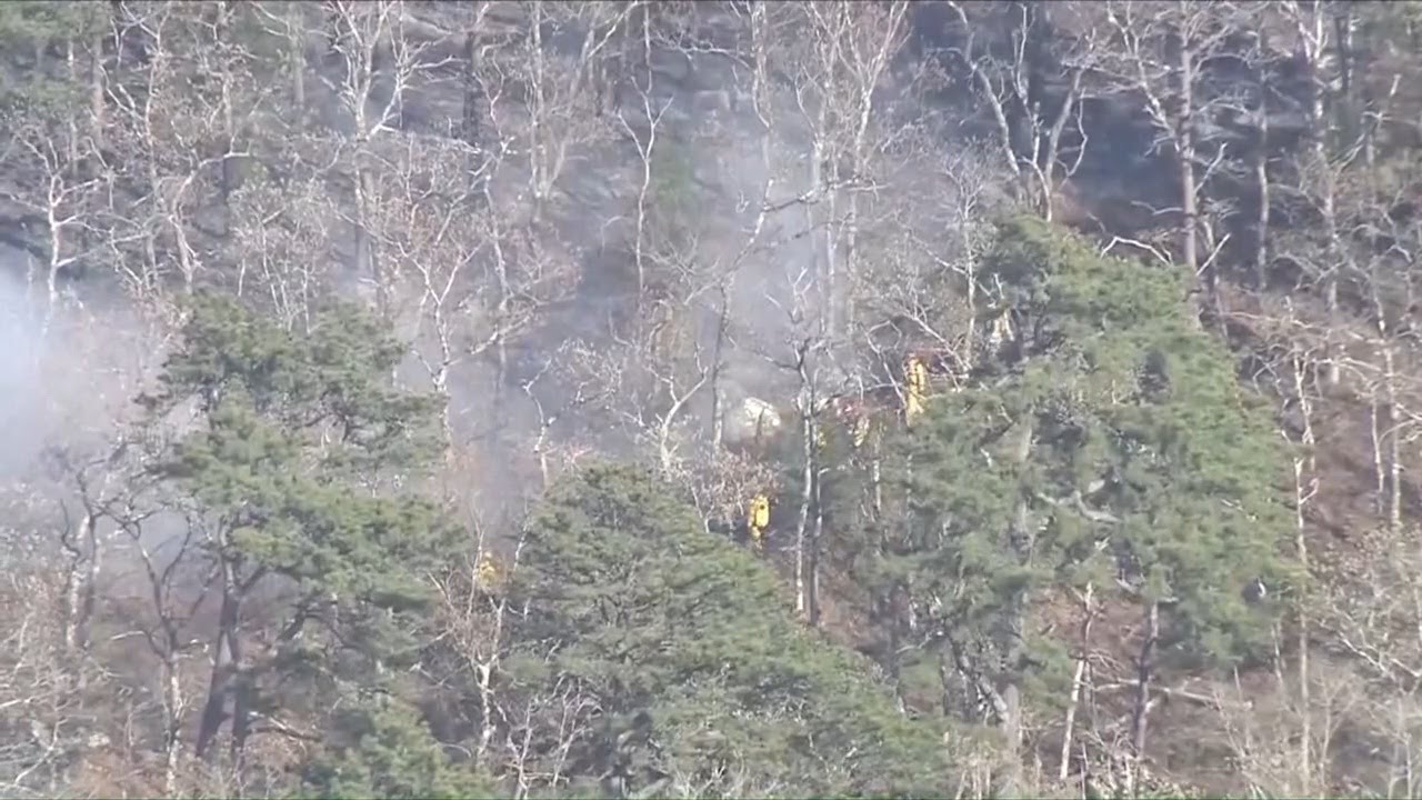 Brush fire on Cape Cod now fully contained - selection - YouTube