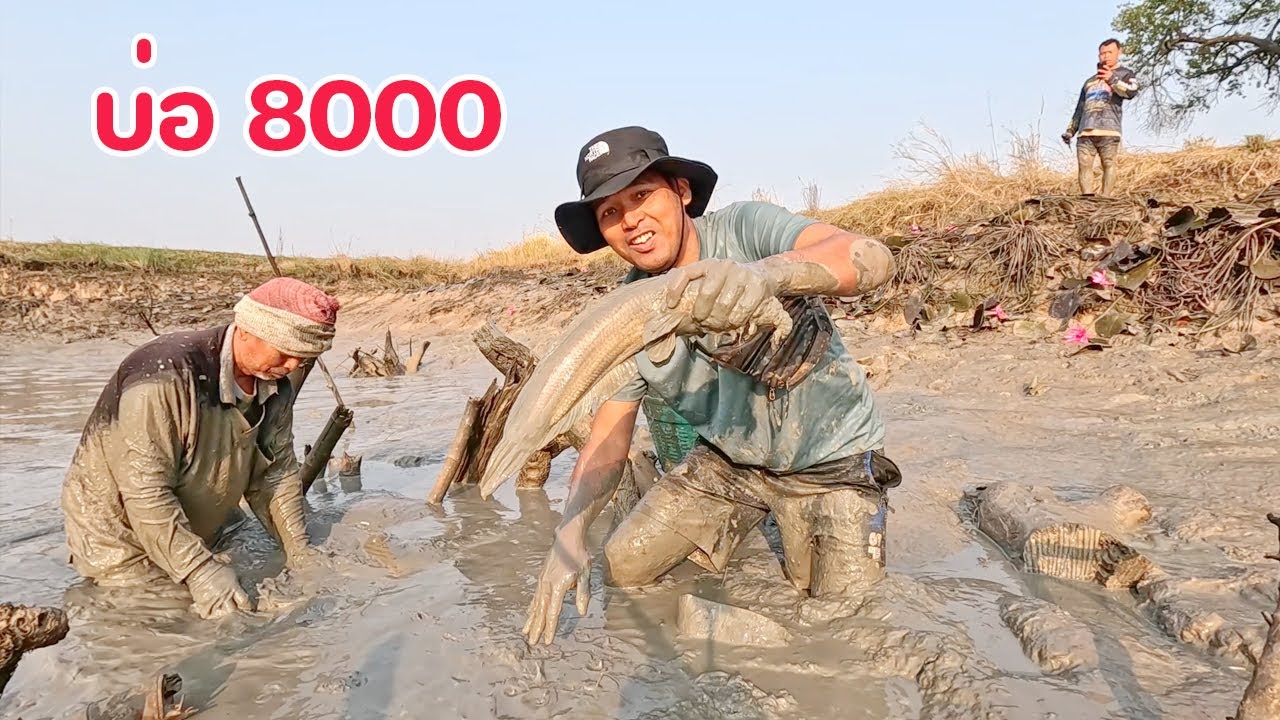 เหมาบ่อสูบปลา ราคา 8000 คุ้มหรือไม่คุ้ม มาลุ้นกันครับ สนุกมาก