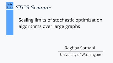 Scaling limits of stochastic optimization algorithms over large graphs