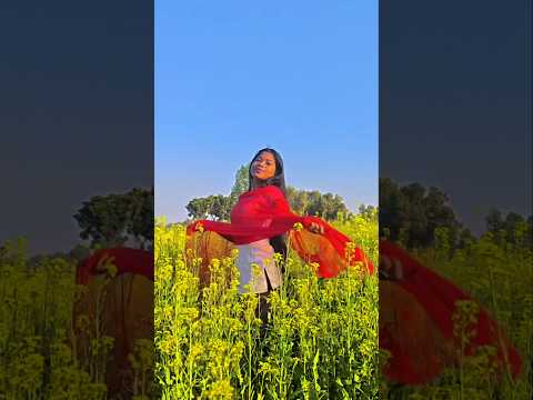 O Meri Laila - | Laila Majnu | Atif Aslam & jyotica Tangri | #bollywoodsongs #hindisong #love