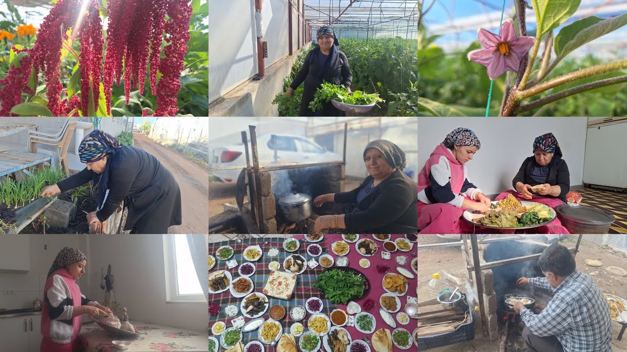 شوفو معنا اكلة اليوم من تحت ايدين امي و بحضور الغوالي❤️🤗