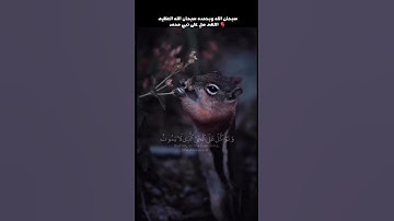 وتوكل على الحي الذي لا يموت وسبح بحمده وكفى به بذنوب عباده خبيرا #تلاوة_خاشعة #تلاوات #قرآن #تلاوة