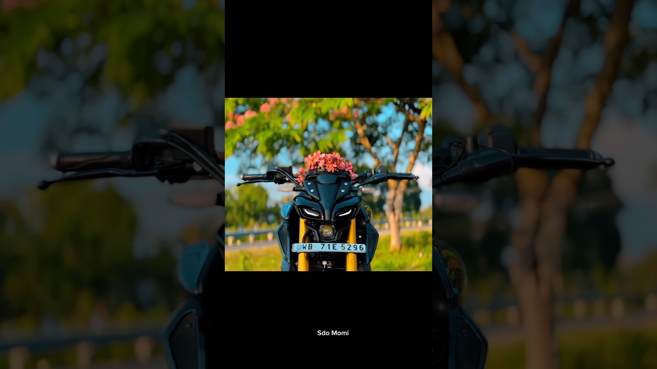 MT 15 💖👀 #shorts #bikereels #bikelife #motorcycle #mt15 #sdomomi