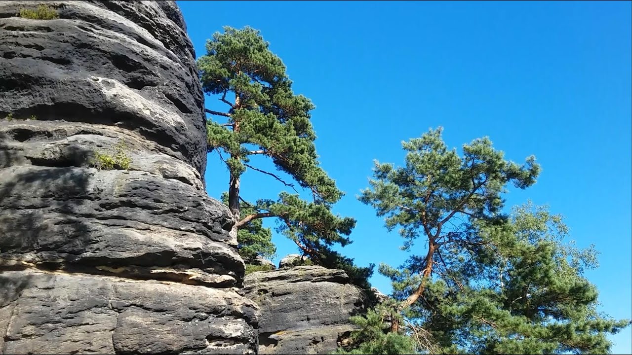 mfp - Pfaffenstein / Sächs. Schweiz (2)