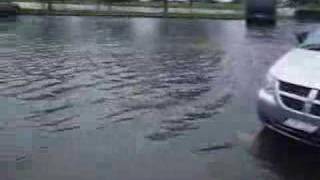 Commack Flood 2005 # 3