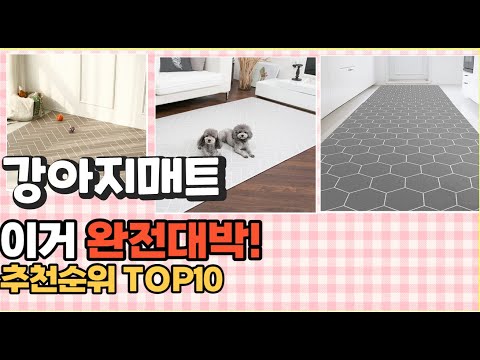 2023년 이거 강력추천! 강아지매트 가격,후기,평점 비교 추천순위 top10
