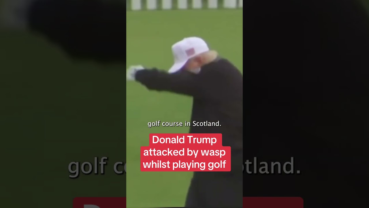 Trump gets attacked by an insect on the golf course 