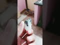 comment mein is pathar ka Naam bataen
