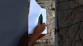 leaf experiment