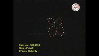 4 professional shell-Butterfly
