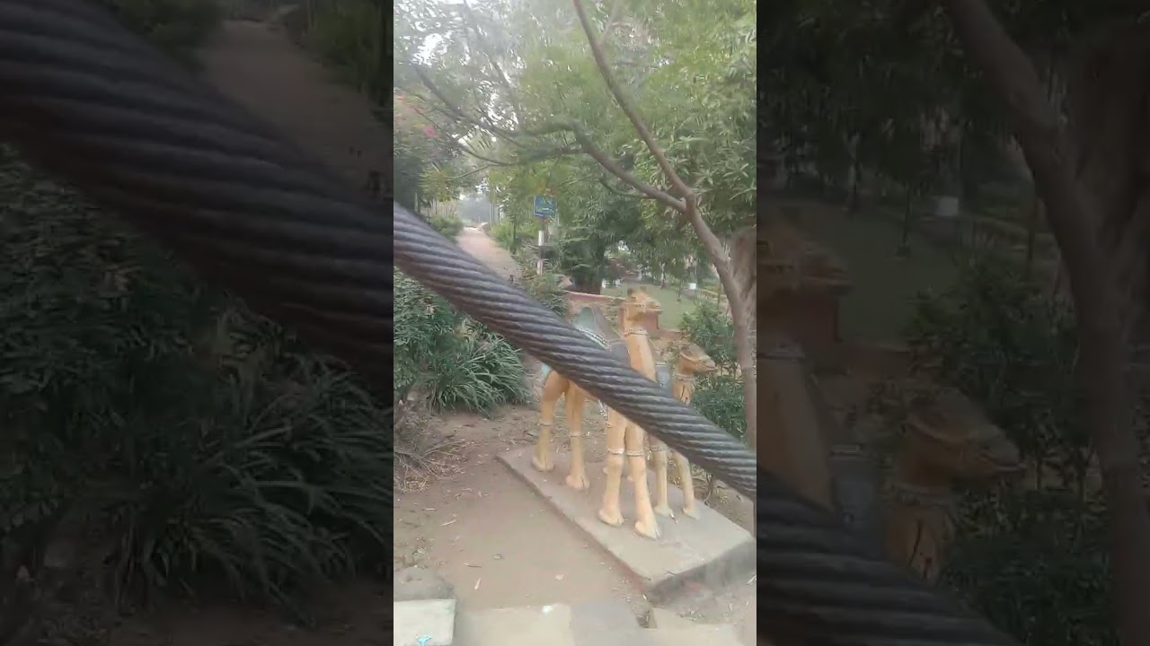 3 मार्च 2026