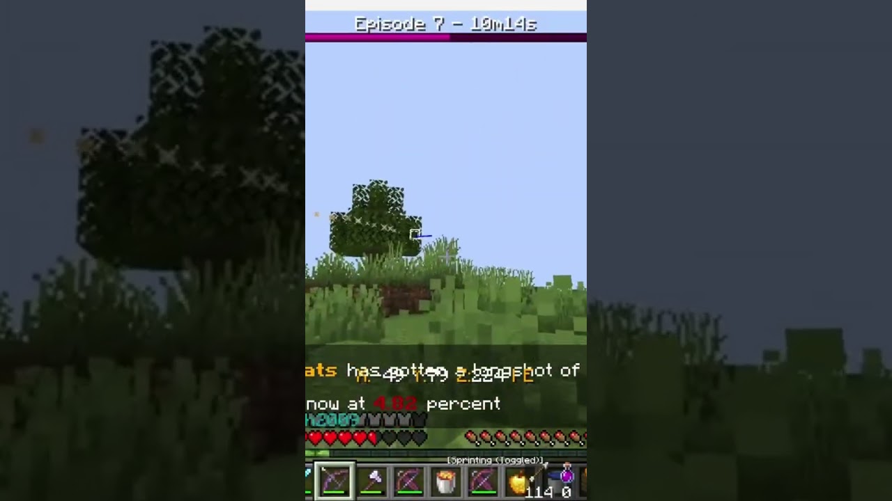 Getting the best item in Minecraft! 