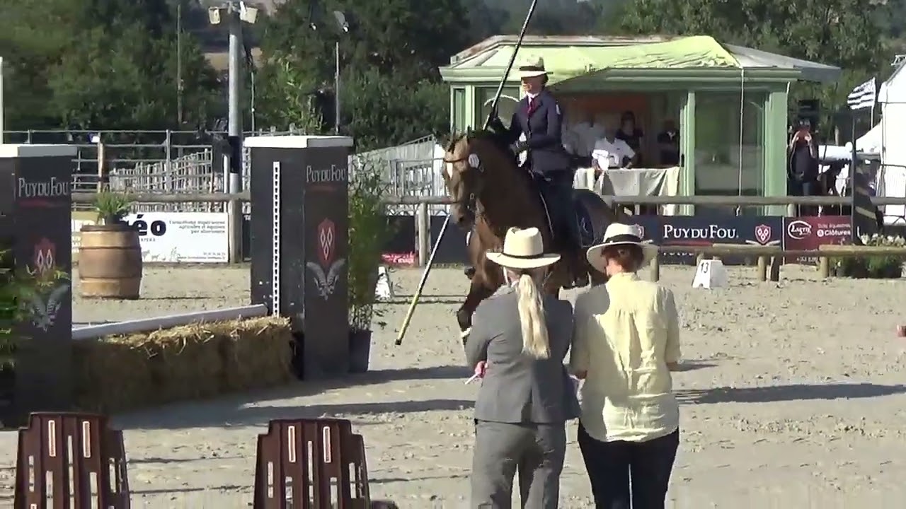 World Championship Working Equitation 2022 in les Herbiers maniabilitè Alteyrac Julie on CALIFA ES