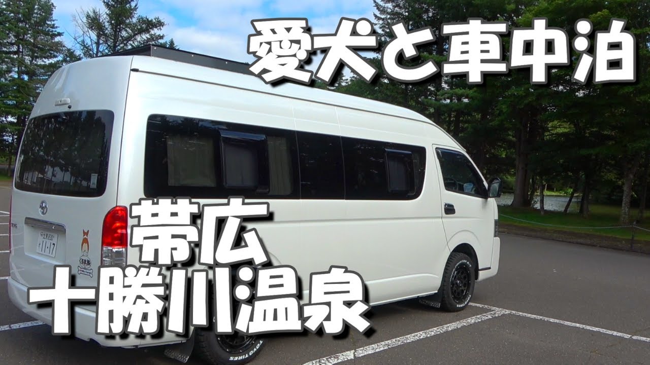 【北海道】帯広十勝川温泉で愛犬と車中泊、道の駅で地鶏から揚げを食べて、車中飯は豚丼いっぴんをテイクアウト、モール温泉に浸かる。