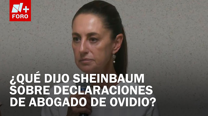 Sheinbaum: Declaraciones del Abogado de Ovidio Guzmán son Irrespetuosas a Investidura Presidencial
