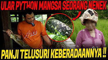 MENCARI JEJAK ULAR PYTHON BESAR PEMANGSA MANUSIA DI SULAWESI