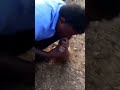 Monkey #CPR