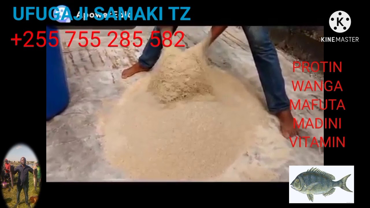 +255 755285582  KARIBU TUKUFUNDISHE KUTENGENEZA CHAKULA BORA  CHA SAMAKI CHA SATO NA KAMBALE