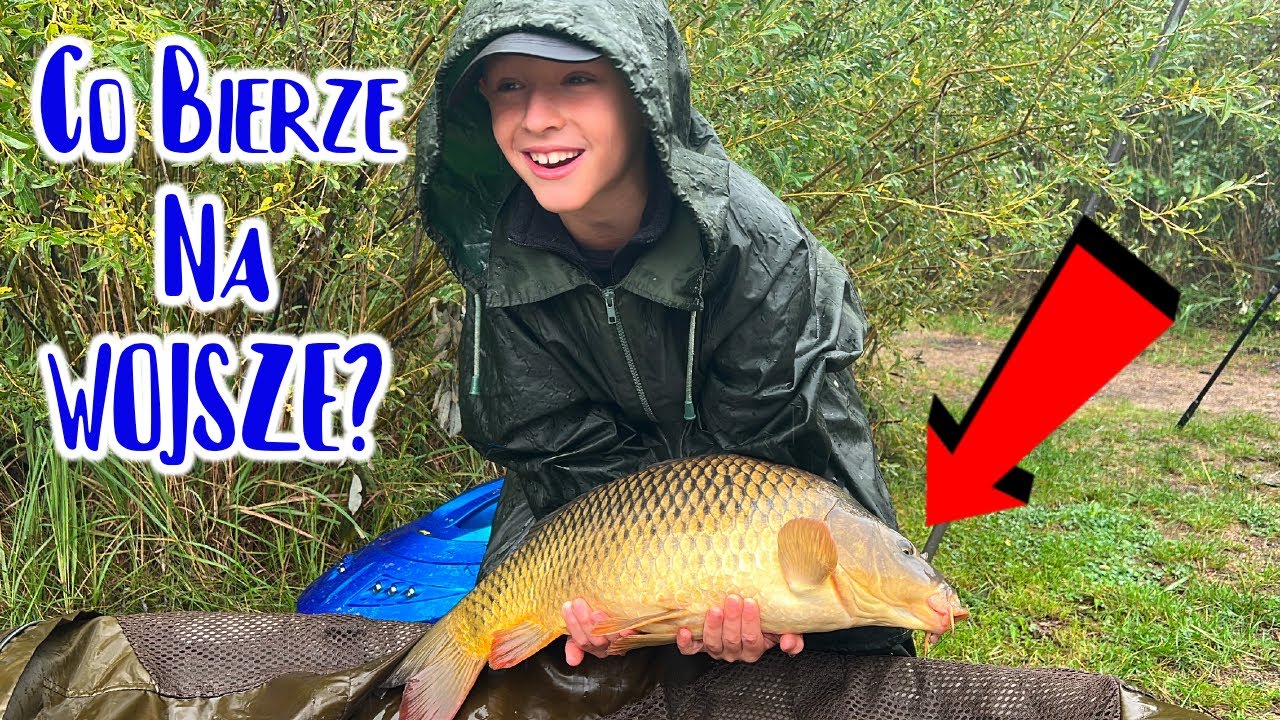 Wyprawa Na Karpie - Łowisko Wojsze 🎣