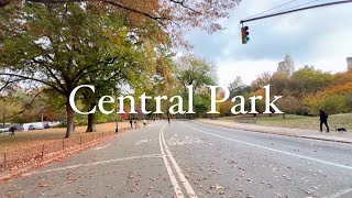 Details 4K | NYC Walk, Embrace the Autumn Vibes in Central Park & the Upper East Side, NYC 🍁 News