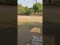 Peaceful Outdoor View: A Serene Glimpse of Nature