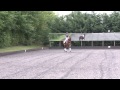 trot