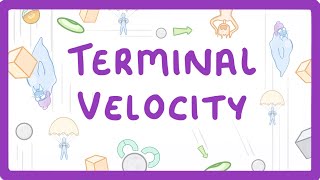 GCSE Physics - Terminal Velocity  #55