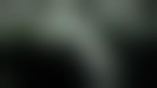 Kino der Provokation oder Der Skandal auf der Leinwand