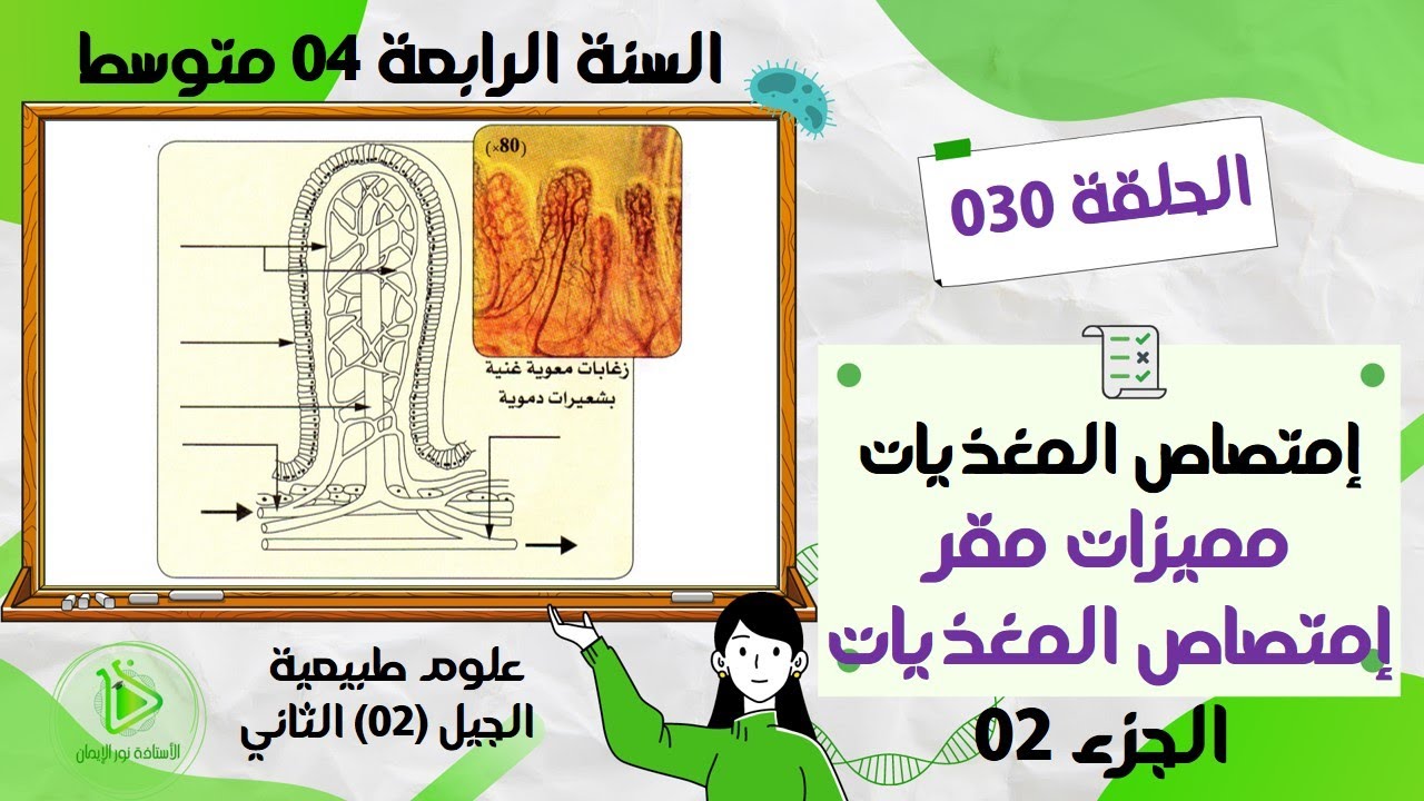 بنية الزغابة المعوية صفحة 19 علوم طبيعية سسنة 04 متوسط