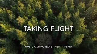 Taking Flight (Nature Video) - Kenya Perry