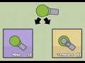 New Assassin branch - Terminator &amp; Ninja! | Arras.io