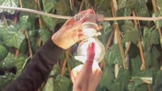 Ghirlande Luminoase Pentru Casa Si Gradina