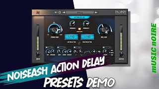 NoisAsh Action Delay Presets On Guitar