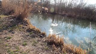 Volt idő horgászat közben ilyen felvételt is csinálni.