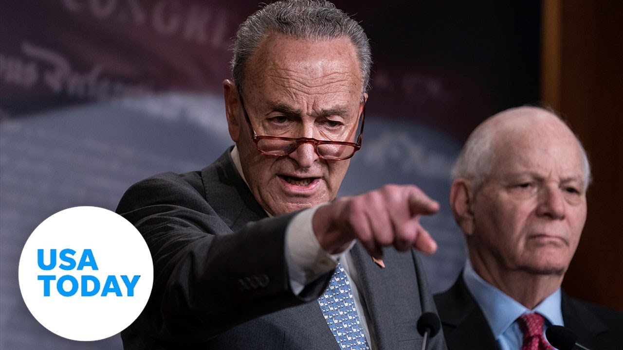 Senate Democrats speak before Trump team continues defense in impeachment trial (LIVE) | USA TODAY