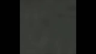 Osito Gominola Electronica Dj Tekcho