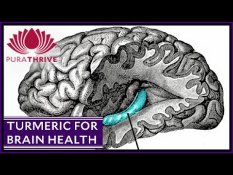 Turmeric & Brain Health: Neurogenisis Turmeric & Brain Health: Neurogenisis