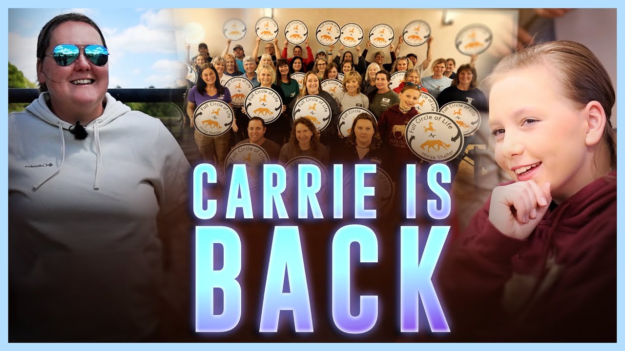Carrie Is Back! - Horse Shelter Heroes S4E13