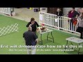 Training a show dog to Stand without moving by Eric Salas Workshops