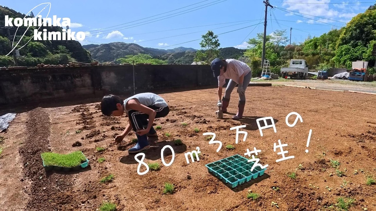 【古民家を芝生に#330】庭DIY苦節4年半、成長を愉しむ芝生を植える